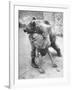 An Iranian Performace of a Man Wrestling a Bear in Public-Dmitri Kessel-Framed Photographic Print