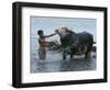 An Iraqi Boy Washes a Water Buffalo-null-Framed Photographic Print
