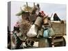 An Iraqi Family and Their Sheep Ride on Their Tractor to Fetch Water Outside the Town of Najaf-null-Stretched Canvas