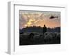 An Iraqi Man Tends to His Sheep While a U.S. Military Helicopter Circles Overhead-null-Framed Photographic Print