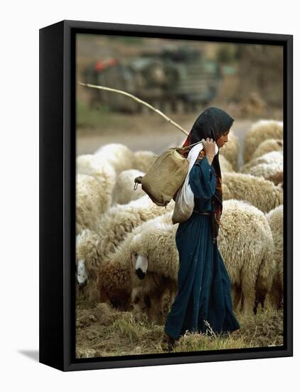 An Iraqi Shepherd, a Young Girl, Herds Her Sheep-null-Framed Stretched Canvas