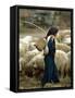 An Iraqi Shepherd, a Young Girl, Herds Her Sheep-null-Framed Stretched Canvas