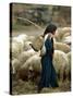 An Iraqi Shepherd, a Young Girl, Herds Her Sheep-null-Stretched Canvas