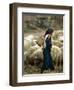 An Iraqi Shepherd, a Young Girl, Herds Her Sheep-null-Framed Premium Photographic Print