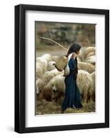 An Iraqi Shepherd, a Young Girl, Herds Her Sheep-null-Framed Premium Photographic Print