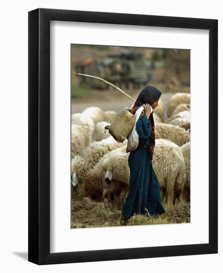 An Iraqi Shepherd, a Young Girl, Herds Her Sheep-null-Framed Premium Photographic Print