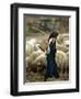 An Iraqi Shepherd, a Young Girl, Herds Her Sheep-null-Framed Premium Photographic Print