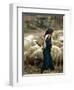 An Iraqi Shepherd, a Young Girl, Herds Her Sheep-null-Framed Premium Photographic Print