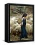 An Iraqi Shepherd, a Young Girl, Herds Her Sheep-null-Framed Stretched Canvas