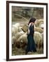 An Iraqi Shepherd, a Young Girl, Herds Her Sheep-null-Framed Photographic Print