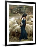 An Iraqi Shepherd, a Young Girl, Herds Her Sheep-null-Framed Photographic Print