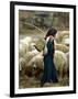 An Iraqi Shepherd, a Young Girl, Herds Her Sheep-null-Framed Photographic Print