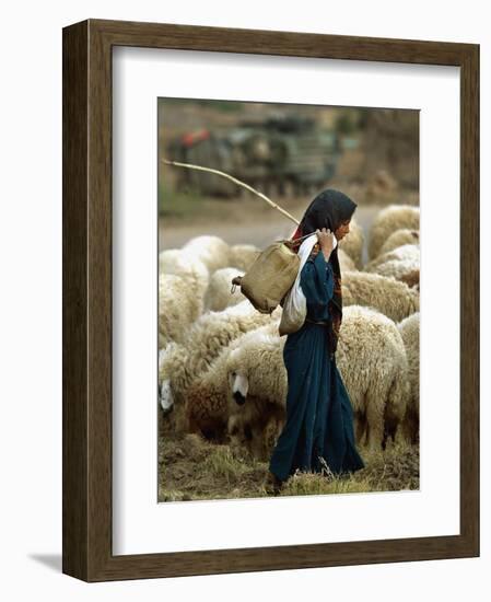 An Iraqi Shepherd, a Young Girl, Herds Her Sheep-null-Framed Photographic Print