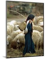 An Iraqi Shepherd, a Young Girl, Herds Her Sheep-null-Mounted Photographic Print