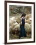 An Iraqi Shepherd, a Young Girl, Herds Her Sheep-null-Framed Photographic Print