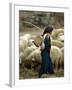 An Iraqi Shepherd, a Young Girl, Herds Her Sheep-null-Framed Photographic Print