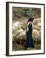 An Iraqi Shepherd, a Young Girl, Herds Her Sheep-null-Framed Photographic Print