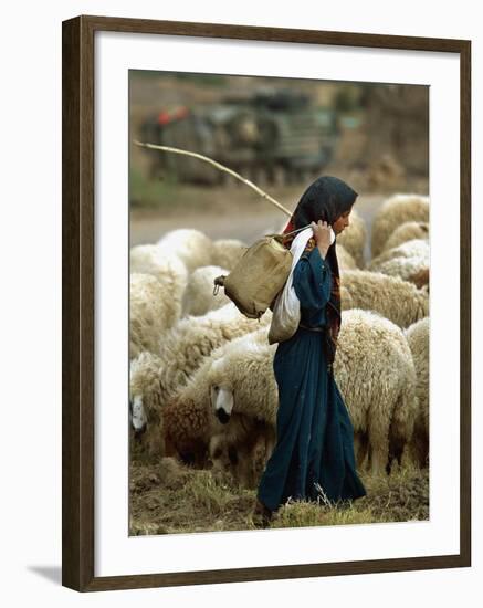 An Iraqi Shepherd, a Young Girl, Herds Her Sheep-null-Framed Photographic Print