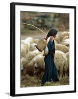 An Iraqi Shepherd, a Young Girl, Herds Her Sheep-null-Framed Photographic Print