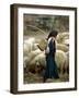 An Iraqi Shepherd, a Young Girl, Herds Her Sheep-null-Framed Photographic Print