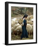 An Iraqi Shepherd, a Young Girl, Herds Her Sheep-null-Framed Photographic Print