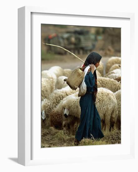 An Iraqi Shepherd, a Young Girl, Herds Her Sheep-null-Framed Photographic Print