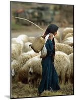 An Iraqi Shepherd, a Young Girl, Herds Her Sheep-null-Mounted Photographic Print