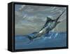 An Iridescent Blue Marlin Bursts from Ocean Waters-Stocktrek Images-Framed Stretched Canvas