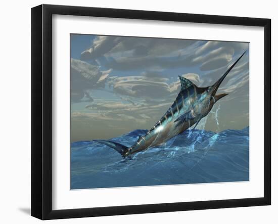 An Iridescent Blue Marlin Bursts from Ocean Waters-Stocktrek Images-Framed Photographic Print