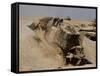 An Israel Defense Force Caterpillar D-9 Clearing the Way-Stocktrek Images-Framed Stretched Canvas