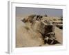 An Israel Defense Force Caterpillar D-9 Clearing the Way-Stocktrek Images-Framed Photographic Print