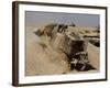 An Israel Defense Force Caterpillar D-9 Clearing the Way-Stocktrek Images-Framed Photographic Print