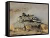 An Israel Defense Force Magach 7 Main Battle Tank in the Negev Desert-Stocktrek Images-Framed Stretched Canvas