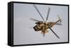 An Israeli Air Force Ch-53 Yasur Helicopter in Flight over Israel-Stocktrek Images-Framed Stretched Canvas