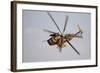 An Israeli Air Force Ch-53 Yasur Helicopter in Flight over Israel-Stocktrek Images-Framed Photographic Print