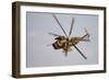 An Israeli Air Force Ch-53 Yasur Helicopter in Flight over Israel-Stocktrek Images-Framed Photographic Print