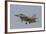 An Israeli Air Force F-16I Sufa Prepares for Landing-Stocktrek Images-Framed Photographic Print