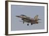 An Israeli Air Force F-16I Sufa Prepares for Landing-Stocktrek Images-Framed Photographic Print