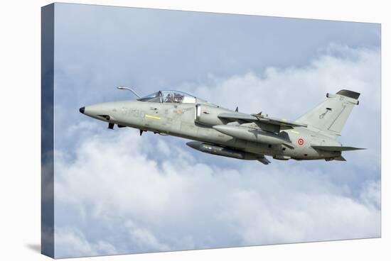 An Italian Air Force Amx Aircraft-Stocktrek Images-Stretched Canvas