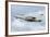 An Italian Air Force Amx Aircraft-Stocktrek Images-Framed Photographic Print