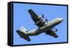 An Italian Air Force C-130J-30 During Takeoff-Stocktrek Images-Framed Stretched Canvas