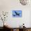 An Italian Air Force C-130J-30 During Takeoff-Stocktrek Images-Stretched Canvas displayed on a wall