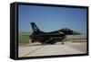 An Italian Air Force F-16 Air Defense Fighter in Special Colors-null-Framed Stretched Canvas