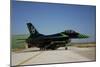 An Italian Air Force F-16 Air Defense Fighter in Special Colors-null-Mounted Photographic Print