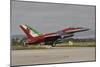 An Italian Air Force F-16 Air Defense Fighter Landing at Trapani Airport, Italy-null-Mounted Photographic Print