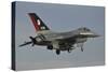 An Italian Air Force F-16 Air Defense Fighter with Special Tail Colors-null-Stretched Canvas