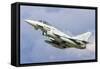 An Italian Air Force F-2000 Typhoon-Stocktrek Images-Framed Stretched Canvas