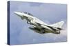 An Italian Air Force F-2000 Typhoon-Stocktrek Images-Stretched Canvas