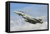 An Italian Air Force F-2000 Typhoon-Stocktrek Images-Framed Stretched Canvas