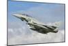 An Italian Air Force F-2000 Typhoon-Stocktrek Images-Mounted Photographic Print